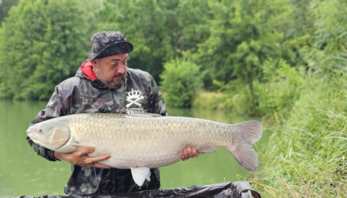 A 48 lb grass carp from Jonchery, Steve Ginn, Jul 2023