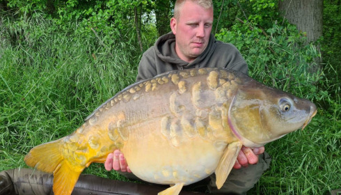 A carp from Jonchery, May 2021