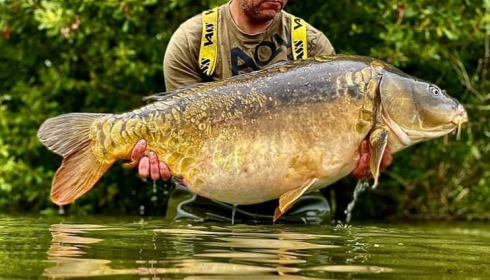 A carp from Jonchery, Sep 2021