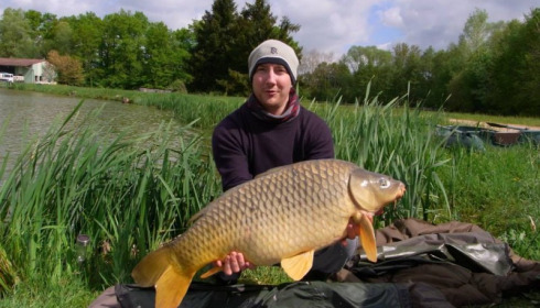 A carp from Jonchery, May 2013