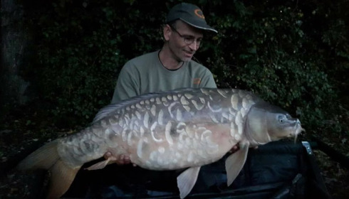 A carp from Jonchery, Sep 2017