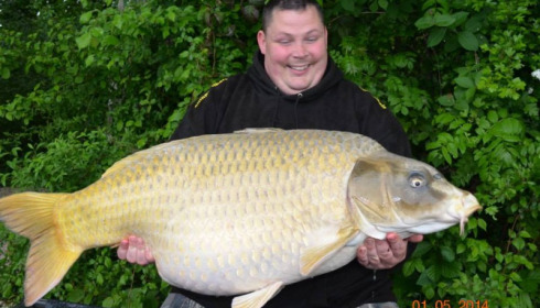 A 50 lb 7 oz carp from Jonchery, Swim 6, May 2014