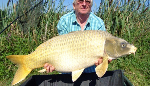 A carp from Jonchery, Jul 2014
