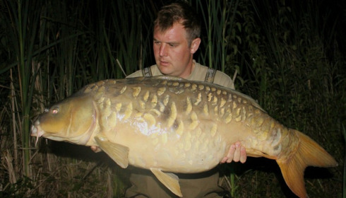 A carp from Jonchery, Jul 2017