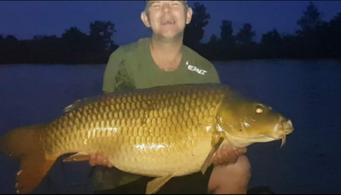 A carp from Jonchery, Jul 2019