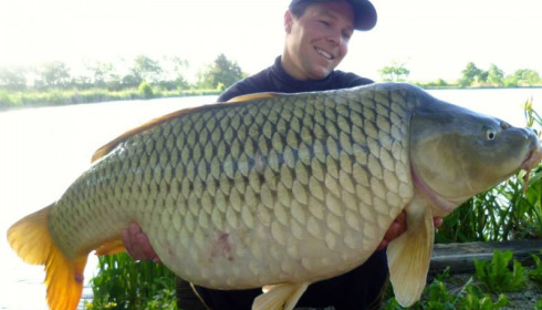 A carp from Jonchery, May 2014