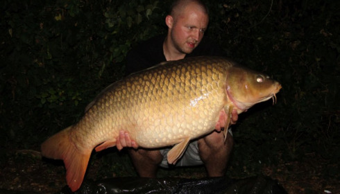 A carp from Jonchery, Aug 2016