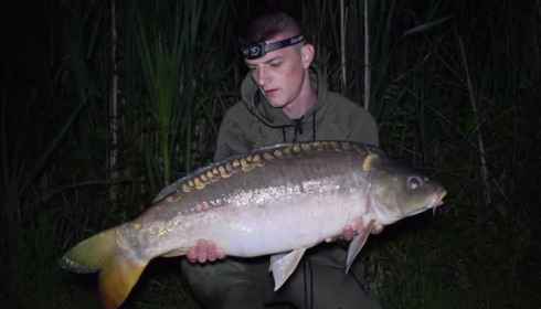 A carp from Jonchery, May 2018