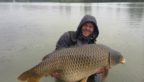 A carp from Jonchery, Jul 2014
