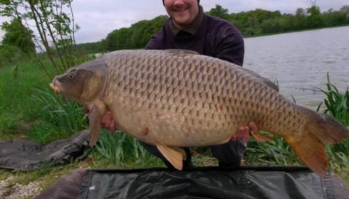 A 52 lb 9 oz carp from Jonchery, May 2013