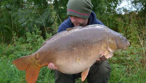 A carp from Jonchery, Sep 2015