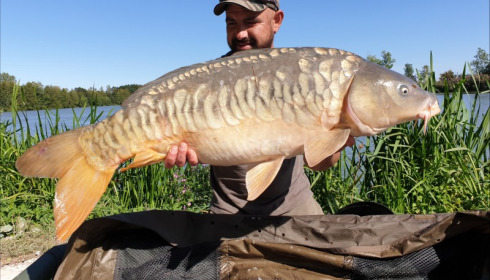 A 35 lb carp from Jonchery, Craig Cicero, Sep 2019