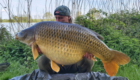 A 58 lb fish from Jonchery, Common, Apr 2022