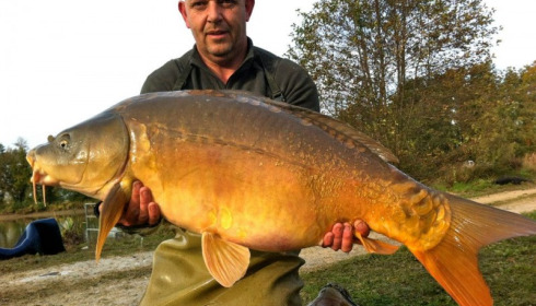 A carp from Jonchery, Nov 2012