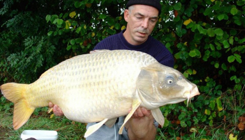 A 43 lb carp from Jonchery, Sep 2013