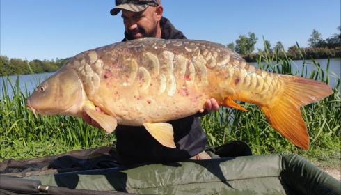 A 37 lb carp from Jonchery, Craig Cicero, Sep 2019