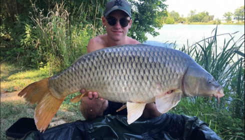 A carp from Jonchery, Jul 2019