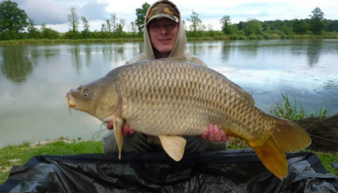 A carp from Jonchery, May 2014