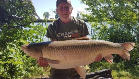 A grass carp from Jonchery, Jul 2019
