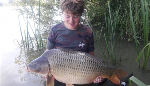 A carp from Jonchery, Aug 2019