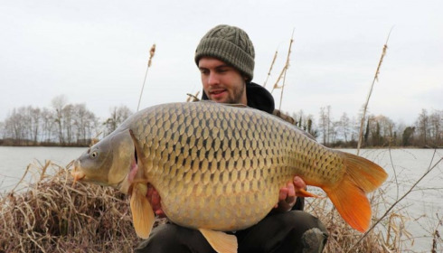 A carp from Jonchery, Mar 2018