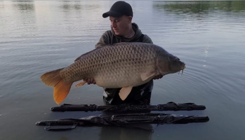 A carp from Jonchery, May 2023