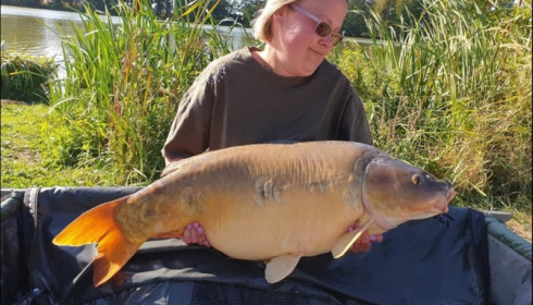 A carp from Jonchery, Sep 2019