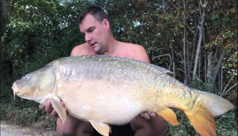 A carp from Jonchery, Sep 2019
