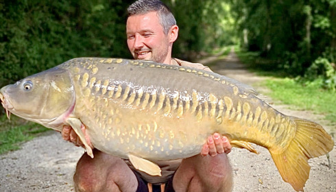 A fish from Jonchery, Sep 2022