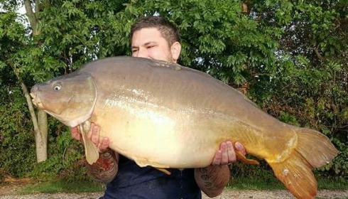 A carp from Jonchery, Sep 2015