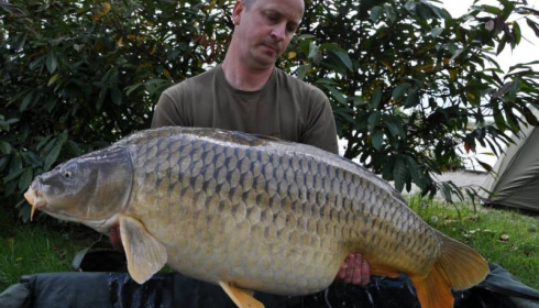 A carp from Jonchery, Swim 1, May 2014