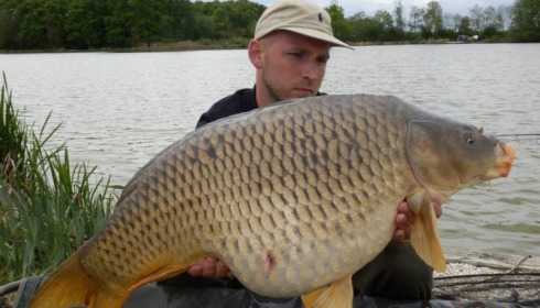 A carp from Jonchery, Apr 2014