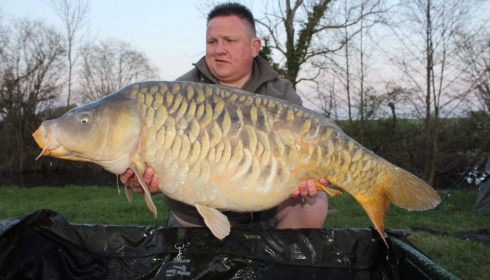 A carp from Jonchery, Apr 2021