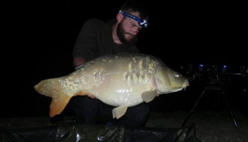 A carp from Jonchery, Oct 2016