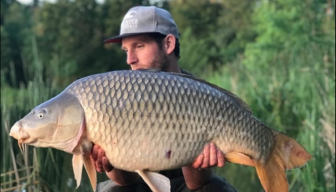 A carp from Jonchery, Jun 2019