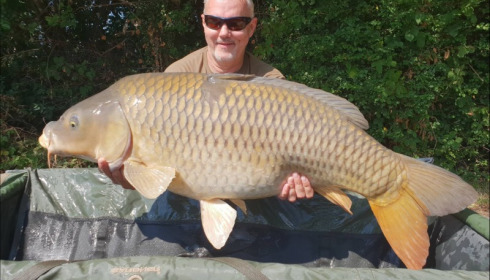 A carp from Jonchery, Aug 2018