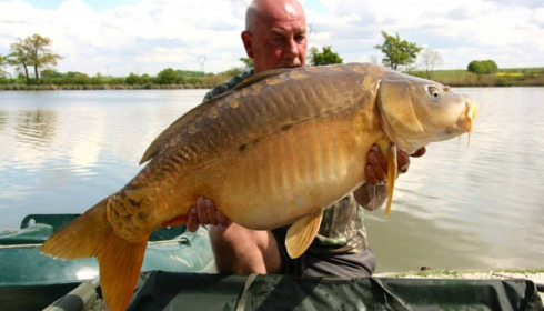 A carp from Jonchery, Apr 2014