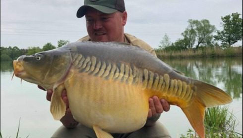 A carp from Jonchery, May 2019