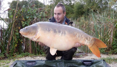 A carp from Jonchery, Oct 2014