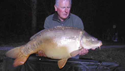 A carp from Jonchery, Mar 2015