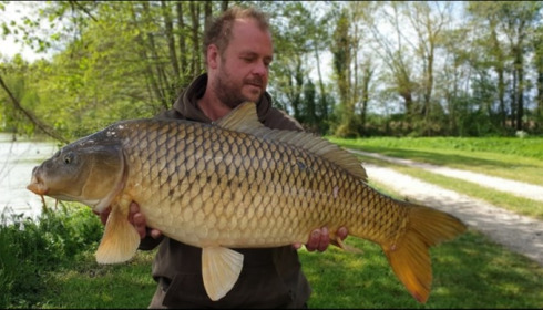 A carp from Jonchery, May 2019