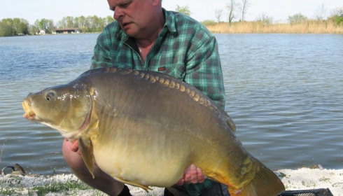 A carp from Jonchery, Apr 2014