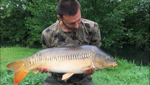 A carp from Jonchery, Jul 2018