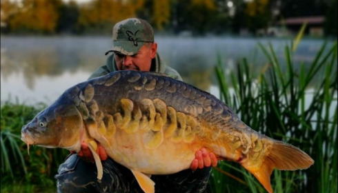 A carp from Jonchery, Sep 2019