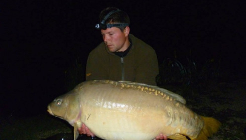 A carp from Jonchery, May 2014