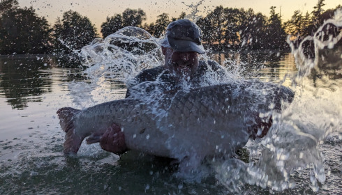 A carp from Jonchery, Jul 2023