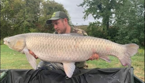 A carp from Jonchery, Sep 2019