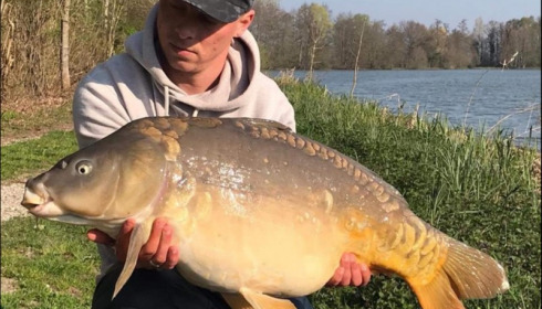 A carp from Jonchery, Apr 2019