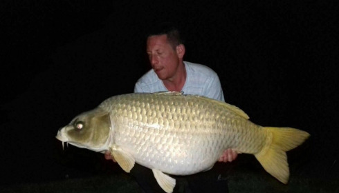 A carp from Jonchery, Apr 2018
