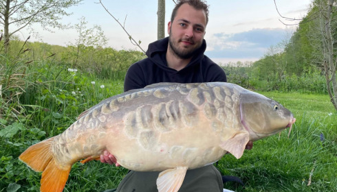 A carp from Jonchery, May 2022